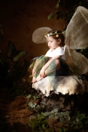 Fairies__MG_0086-Edit.jpg