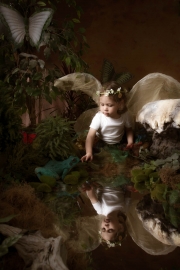 Fairies__MG_0111-Edit.jpg