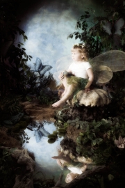 Fairies__MG_9712-Edit.jpg