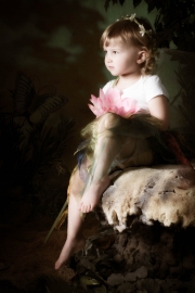 Fairies__MG_9727-Edit.jpg