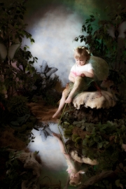 Fairies__MG_9738-Edit.jpg