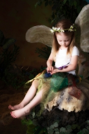 Fairies__MG_9844-Edit.jpg