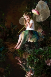 Fairies__MG_9881-Edit.jpg