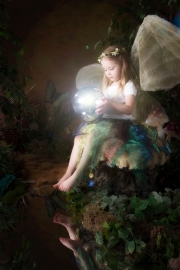 Fairies__MG_9888-Edit.jpg