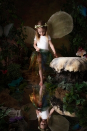 Fairies__MG_9893-Edit-Edit.jpg