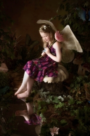 Fairies__MG_9952-Edit.jpg