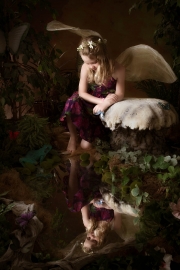 Fairies__MG_9985-Edit.jpg