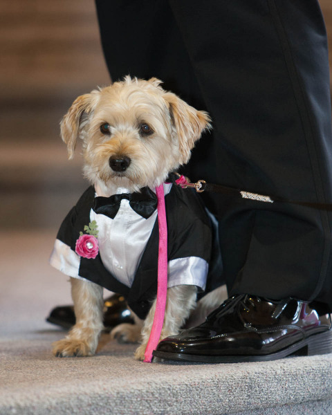 2015-07-18_Klarissa+Andrew_Wedding_MGP1502